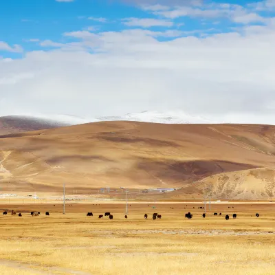 Yadong Pingcuo Kangsang Kangyang Hotel