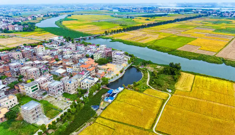 鄰近省級非物質文化遺產貔貅舞傳承基地的酒店