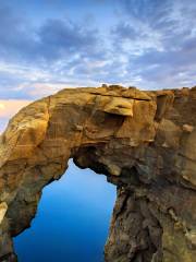 Trunk Rock, Shenao Headland