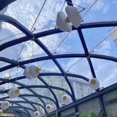 Vesta blackstone garden User Photo