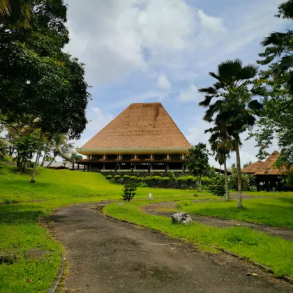 Hotels near Savusavu park
