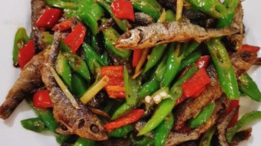 Mangshanchaihuonongzhuang