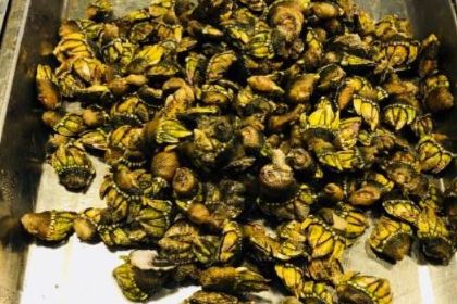 好记海鲜楼(三星大道店)