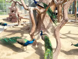 盤錦市動物園