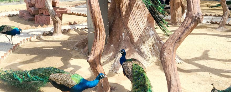 Panjin Zoo