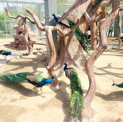 Panjin Zoo