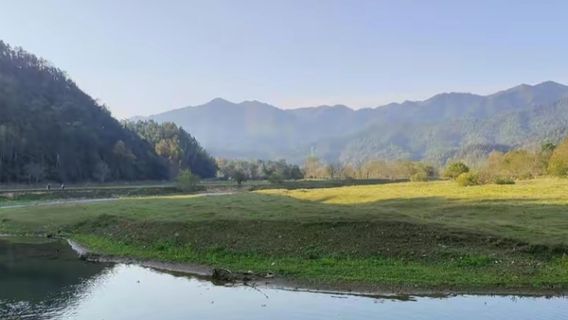 Taihe Forest Park