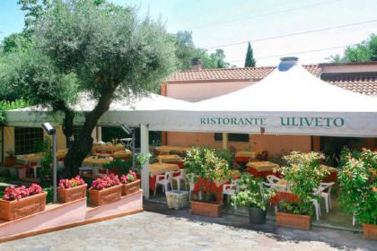 Ristorante Pizzeria Uliveto
