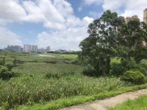 Fangchenggang Wetland Park