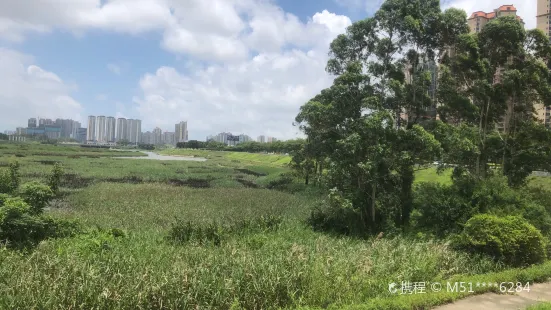 Fangchenggang Wetland Park