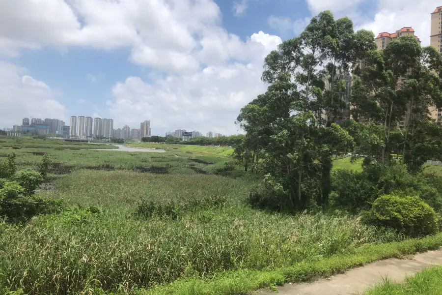 Fangchenggang Wetland Park