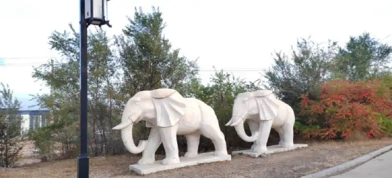 Hotels in Jalaid Banner