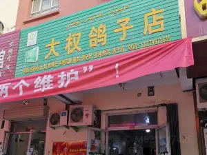 大權鴿子店