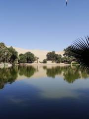 Huacachina Lagoon Reserved Zone