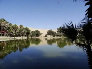 Huacachina Lagoon Reserved Zone