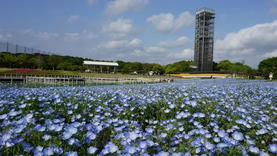 浜名湖花博2024