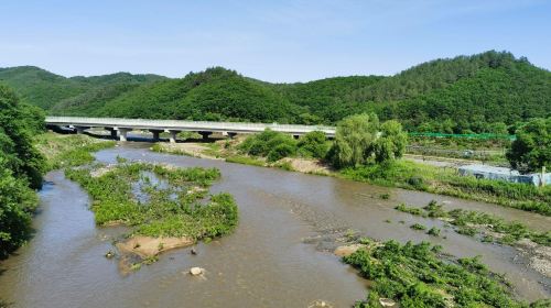 Northeast China Tiger and Leopard National Park