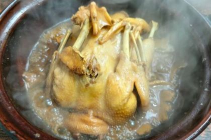 锦坡老牌姜母鸭(美食街店)