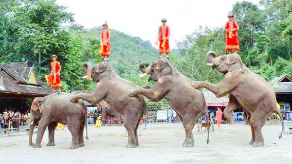 Menghai