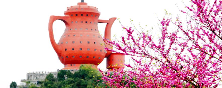 The World No.1 China Tea Culture Expo Park