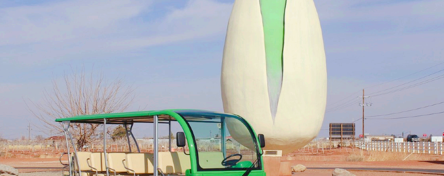 McGinn's PistachioLand