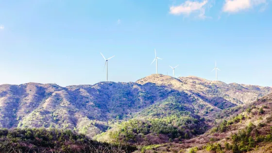 雪峯山國家森林公園