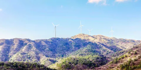 雪峯山國家森林公園