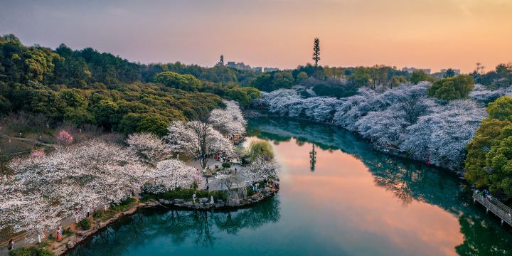 Hunan Forest Botanical Garden