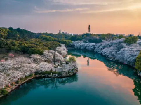 Hunan Forest Botanical Garden
