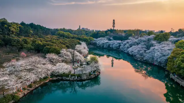 Hotels near Hunan Forest Botanical Garden