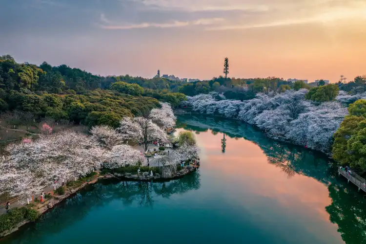Hotels near Hunan Forest Botanical Garden