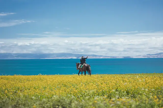 Horse Riding in Qinghaihu