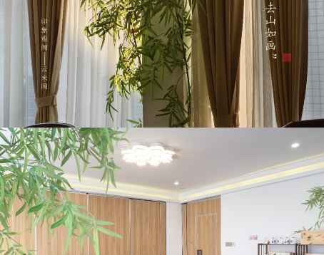 雅阁炖品