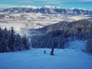 Ski Opalisko
