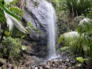 Praslin National Park Waterfall