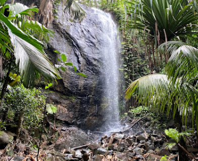 Praslin National Park Waterfall