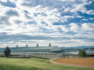 Virginia Horse Center