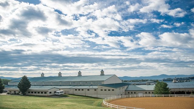 Virginia Horse Center