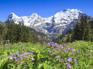 Eiger