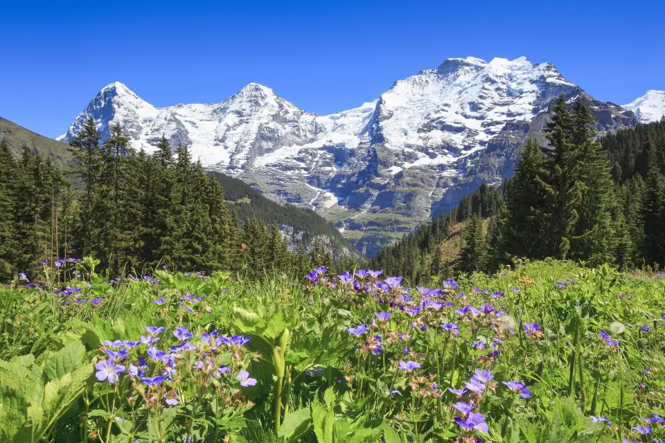 4_Eiger