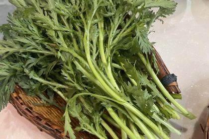 TONG GUO YE CAI SHENG TAI SHI CAI SHANG GUO