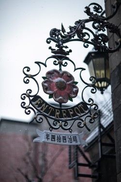 시로이고이비토파크