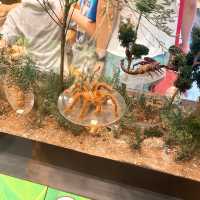 免費親子好去處