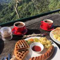 Breakfast and the view