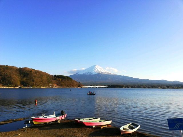 富士山頂的帽子云， 愜意的春天， 愜意的櫻花勝地