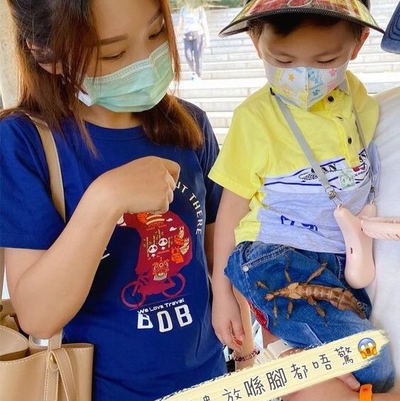 ［原來香港有咁多野生動物］