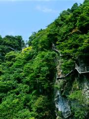 칭장팡산(청강방산) 관광지
