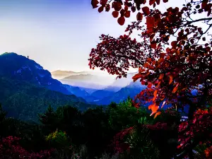 Shigao Mountain