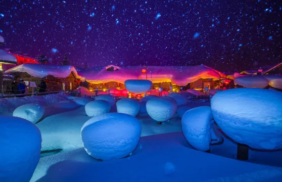 亞布力出發+中國雪鄉景區+接駁車【拼車、包車｜高鐵出行】