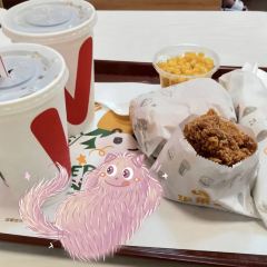 华莱士·全鸡汉堡(新野店) User Photo